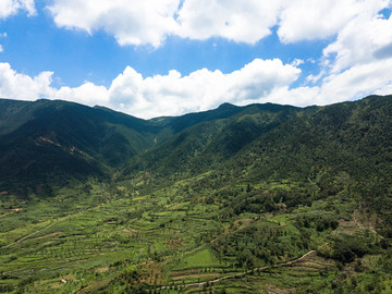 高山景色