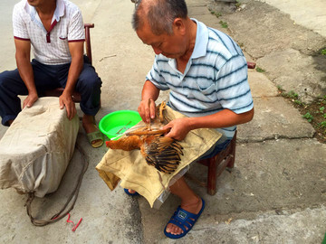 阉鸡匠