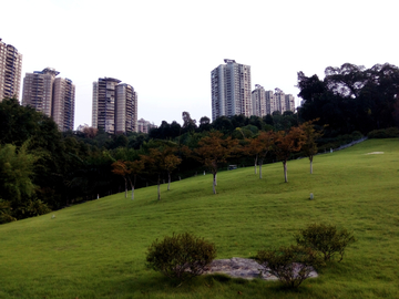 龙头寺公园风景