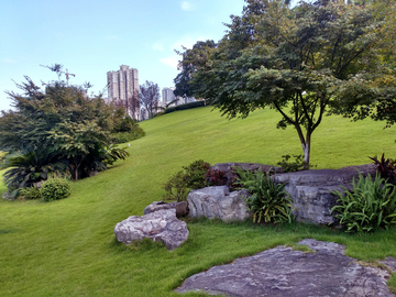 公园绿化风景