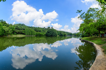 大夫山森林公园