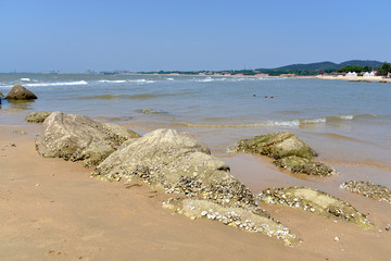 海岸