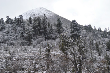 雪后大山