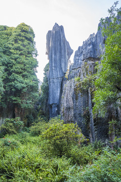 石林风景区