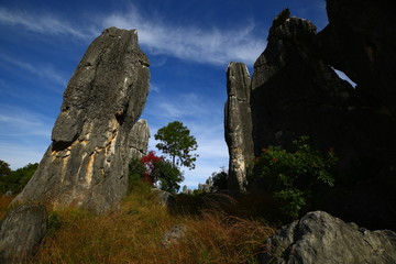 石林风景区