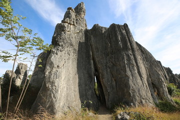 石林风景区