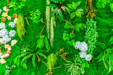 植物墙背景