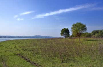 沙滩草地