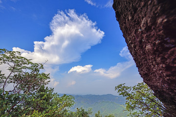 森林风光