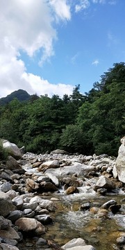 沣峪口美景