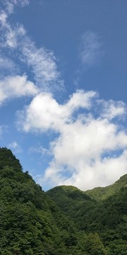 沣峪口美景