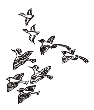 鳥(niǎo)紋