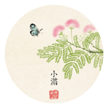 合歡花之小滿