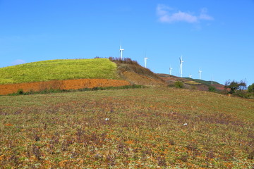 东川红土地