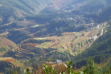 东川红土地