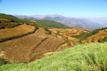 东川红土地