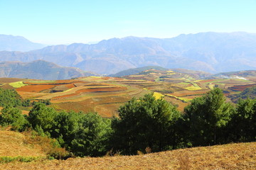 东川红土地