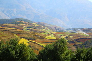 东川红土地