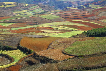 东川红土地