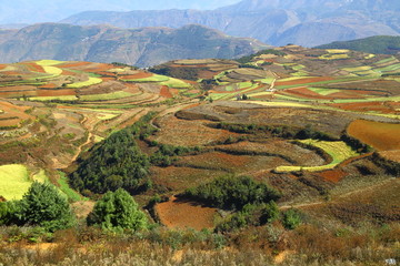 东川红土地