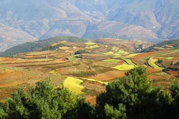 东川红土地