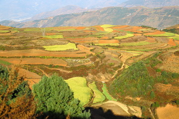 东川红土地