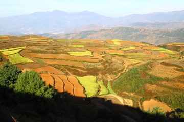 东川红土地