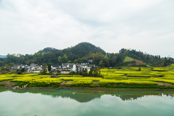 青山绿水