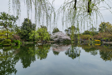 花港观鱼