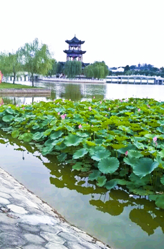 室外水景