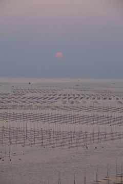 大海日出