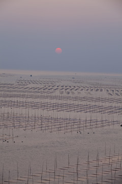 大海日出