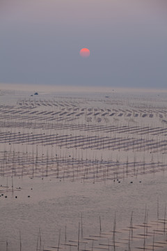 大海日出