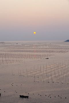 大海日出