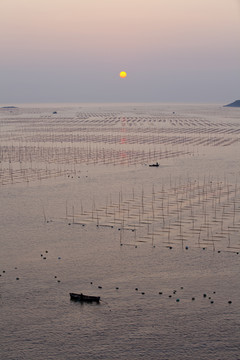 大海日出