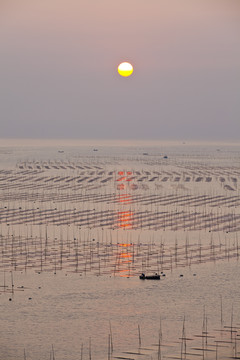 大海日出