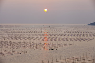 大海日出