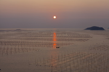 大海日出