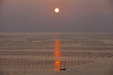 大海日出