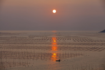 大海日出