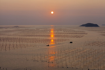 大海日出