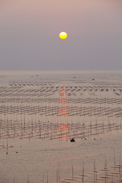 大海日出