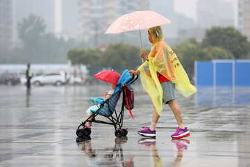 雨中奶孙