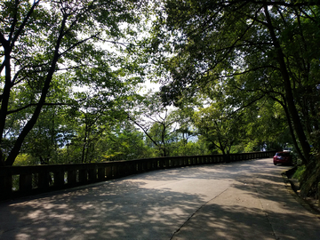 黄葛古道风景