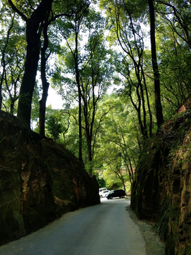 黄葛古道风景