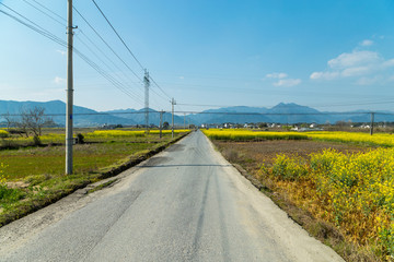 公路