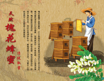 槐花蜜采蜂人插畫
