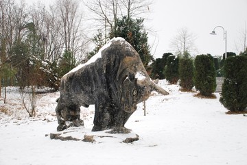 雪景