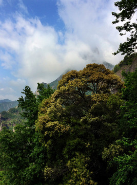 雁荡山