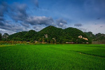 普者黑田园风光